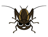 タガメ 水生昆虫 の画像素材 イラスト素材ならイメージナビ