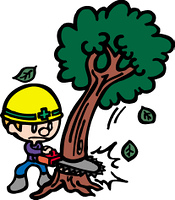 倒木 の画像素材 イラスト素材ならイメージナビ