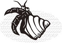 ヤドカリ の画像素材 41334684 イラスト素材ならイメージナビ