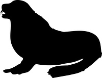 オットセイ の画像素材 41397494 イラスト素材ならイメージナビ