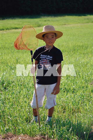 画像検索 デザインポケット