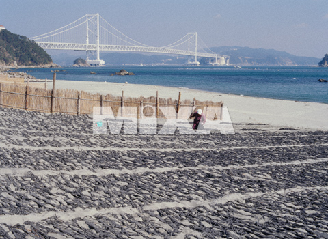 注目の福袋 Mixaイメージライブラリーvol 275 農業編 食の産業 画材 Filarmed Org