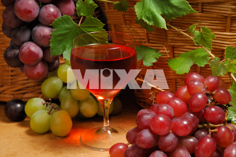 22 新作 Mixaイメージライブラリーvol 296 みずみずしい果実 画材 Proceso Hn