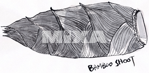 イラスト村 Vol 13 墨絵 四季折々 イラスト村 イラスト素材 デザインポケット