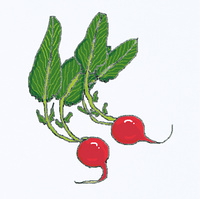 さやえんどう の画像素材 イラスト素材ならイメージナビ