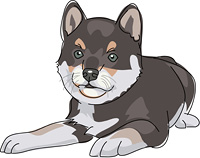 犬 キャバリアキングチャールズスパニエル の画像素材 イラスト素材ならイメージナビ