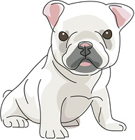 犬 キャバリアキングチャールズスパニエル の画像素材 イラスト素材ならイメージナビ