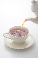 紅茶を注ぐ の画像素材 写真素材ならイメージナビ