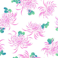 菊 乱菊の素材】の画像素材(31038126) | CG素材ならイメージナビ