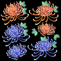 菊 乱菊の素材】の画像素材(31038126) | CG素材ならイメージナビ