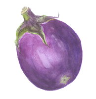 いろいろな夏野菜 水彩イラスト の画像素材 イラスト素材ならイメージナビ