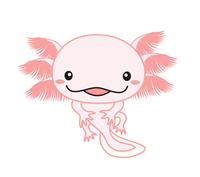 ウーパールーパー メキシコサンショウウオ アホロートル イラスト の画像素材 イラスト素材ならイメージナビ