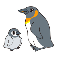 コウテイペンギン の画像素材 イラスト素材ならイメージナビ