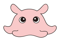 メンダコ ベクター イラスト の画像素材 イラスト素材ならイメージナビ