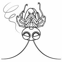 ヒョウモントカゲモドキ キャラクター イラスト の画像素材 イラスト素材ならイメージナビ