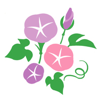 朝顔 種 芽 つぼみ 花 の画像素材 イラスト素材ならイメージナビ