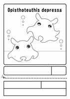 シーラカンス 深海魚 キャラクター ぬりえ イラスト クリップアート の画像素材 イラスト素材ならイメージナビ