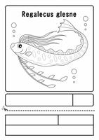 シーラカンス 深海魚 キャラクター ぬりえ イラスト クリップアート の画像素材 イラスト素材ならイメージナビ