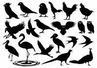 鳥のカット集 01 の画像素材 31415718 イラスト素材ならイメージナビ