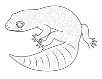 ヒョウモントカゲモドキ キャラクター イラスト の画像素材 イラスト素材ならイメージナビ