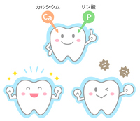 シンプルでかわいい健康な歯と虫歯の手描きイラスト の画像素材 イラスト素材ならイメージナビ