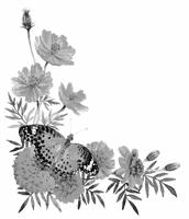 ジンベイザメ 水彩イラスト の画像素材 イラスト素材ならイメージナビ