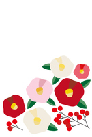 寒椿の背景 の画像素材 イラスト素材ならイメージナビ