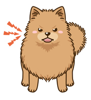 ポメラニアンのイラスト の画像素材 イラスト素材ならイメージナビ