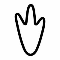 ペンギンの足跡 の画像素材 イラスト素材ならイメージナビ