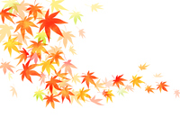 背景透過済みベクター 秋の紅葉 葉っぱイ の画像素材 イラスト素材ならイメージナビ