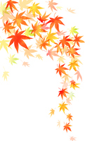 背景透過済みベクター 秋の紅葉 葉っぱイ の画像素材 イラスト素材ならイメージナビ