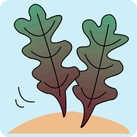 海藻類 の画像素材 イラスト素材ならイメージナビ