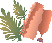 海藻類 の画像素材 イラスト素材ならイメージナビ