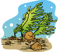 ワカメスープ の画像素材 イラスト素材ならイメージナビ