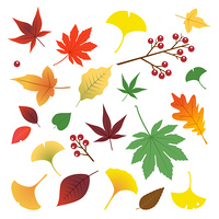 かえでの葉 の画像素材 イラスト素材ならイメージナビ