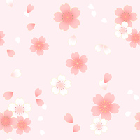 桜吹雪 黒バック の画像素材 イラスト素材ならイメージナビ
