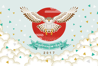 鷹 飛ぶ 正面 白バック の画像素材 イラスト素材ならイメージナビ