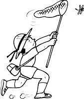 セミとり の画像素材 40898235 イラスト素材ならイメージナビ