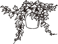 アイビーのシルエット の画像素材 イラスト素材ならイメージナビ