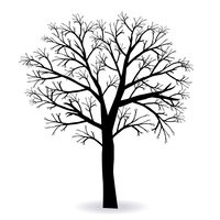 木 枝 シルエット アイコン の画像素材 イラスト素材ならイメージナビ