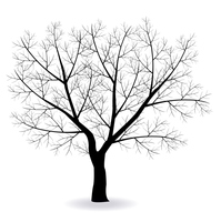 木 枝 シルエット アイコン の画像素材 イラスト素材ならイメージナビ