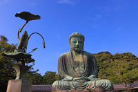 ライトアップされた鎌倉大仏 の画像素材 写真素材ならイメージナビ