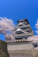 熊本県 熊本市 熊本城 の画像素材 写真素材ならイメージナビ